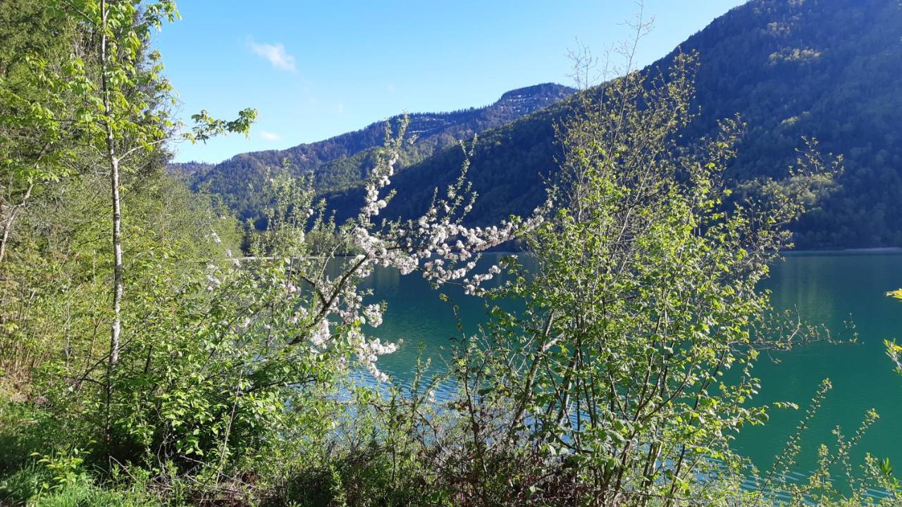 Jaegerhaus Βίλα Hintersee Εξωτερικό φωτογραφία