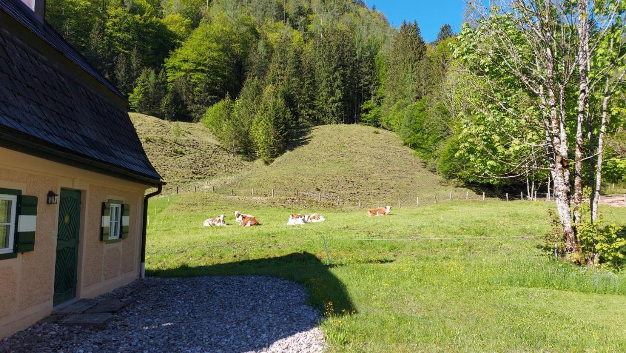 Jaegerhaus Βίλα Hintersee Εξωτερικό φωτογραφία