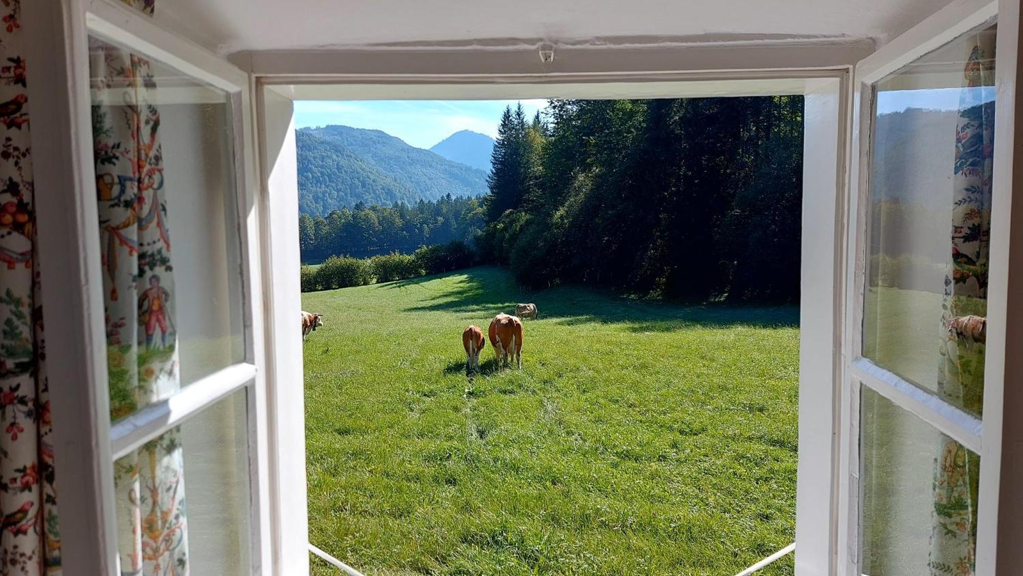 Jaegerhaus Βίλα Hintersee Εξωτερικό φωτογραφία