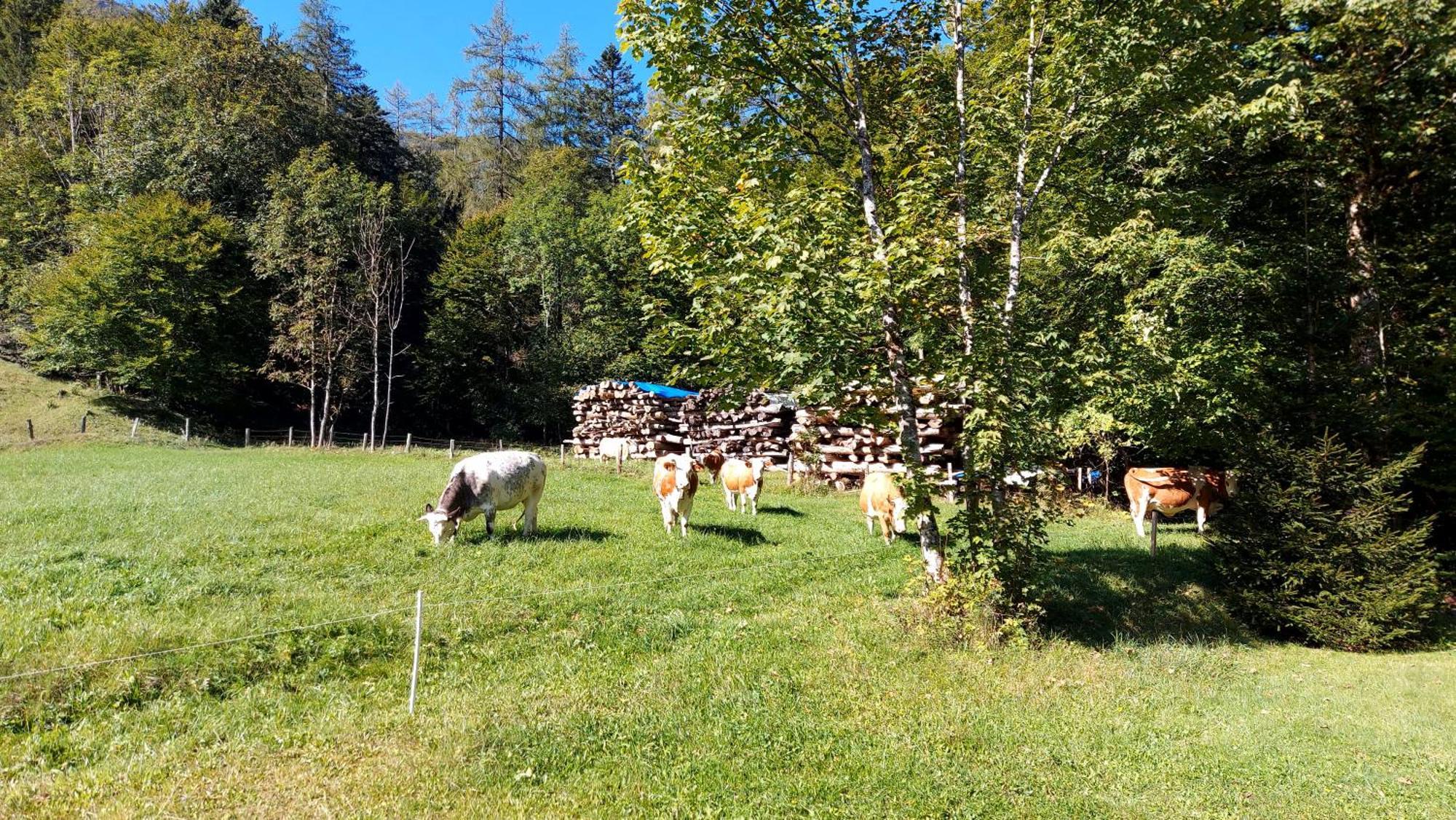 Jaegerhaus Βίλα Hintersee Εξωτερικό φωτογραφία