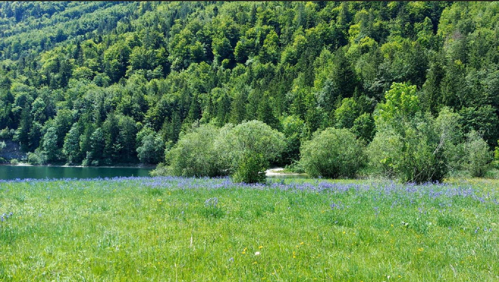 Jaegerhaus Βίλα Hintersee Εξωτερικό φωτογραφία